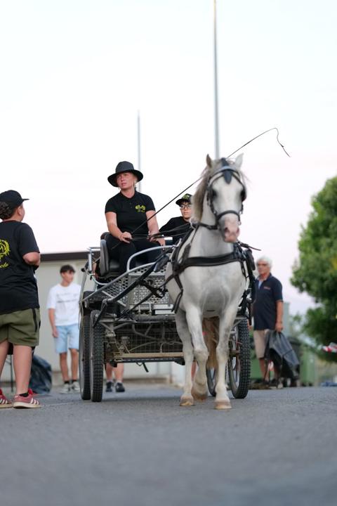Carrozza con cavallo, uno dei servizi extra dell'evento